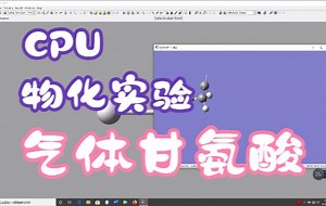 CPU-物化实验 气体甘氨酸分子的量子化学研究