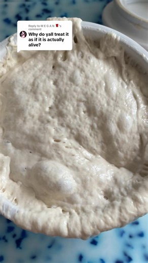 Sourdough Starter: Is It Alive? ASMR Baking