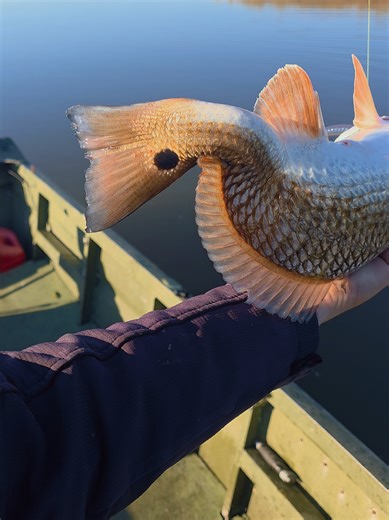 Catch of the Day: Little Stumpy Redfish Fishing Guide
