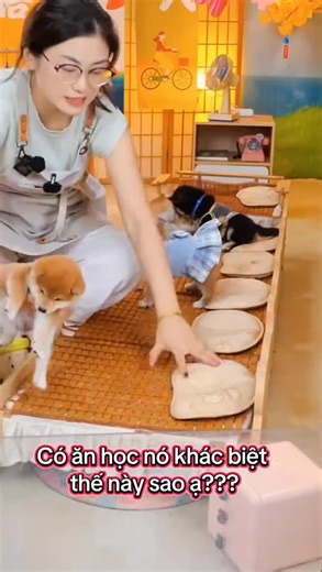 Cuộc sống và học vấn tại nhà người khác