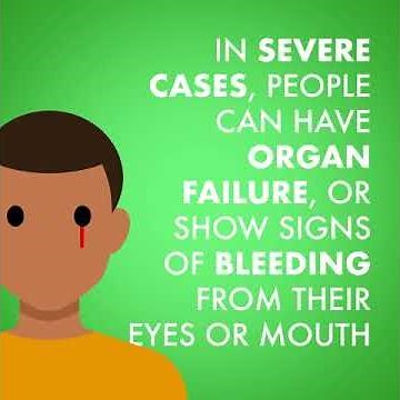 What is Lassa Fever ? MSF Video Animation