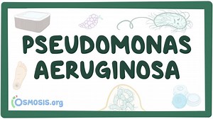 Pseudomonas aeruginosa: Video, Causes, & Meaning | Osmosis