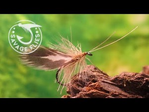 Fly Tying a Spent Wing CDC Caddis (Dry Fly Pattern)