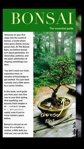 🪴 Not sure where to start with bonsai? You’re not alone, that’s exactly why we made The Essential Bonsai Guide. It’s packed with clear, beginner-friendly advice on styling, watering, repotting, and more, without the jargon. Whether you’ve just bought your first tree or you’ve accidentally murdered a few already (we’ve all been there), this guide will help you grow with confidence. 🌳 Your bonsai journey doesn’t have to be confusing. This little book is the quiet voice of reason when your tree s