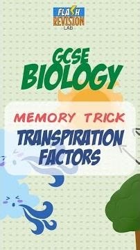 GCSE Biology : Memory Trick | Transpiration Factors