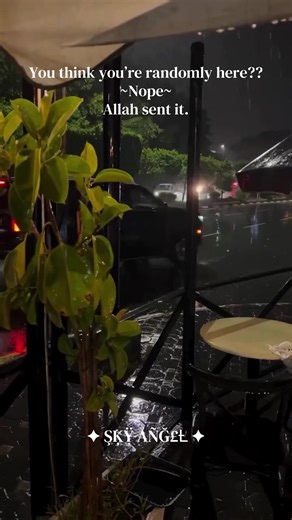 Understanding Signs from Allah in Everyday Life