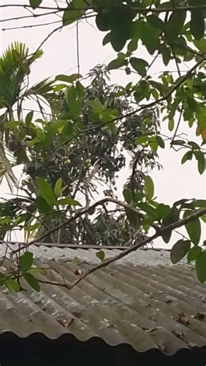 আল্লাহ তায়ালা আমাদের সবাইকে হেদায়েত দান করুক🤲😭#ইসলামিক_ভিডিও #foryou