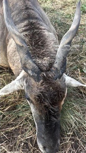 What an incredible area to be able to hunt, share and explore with our clients.