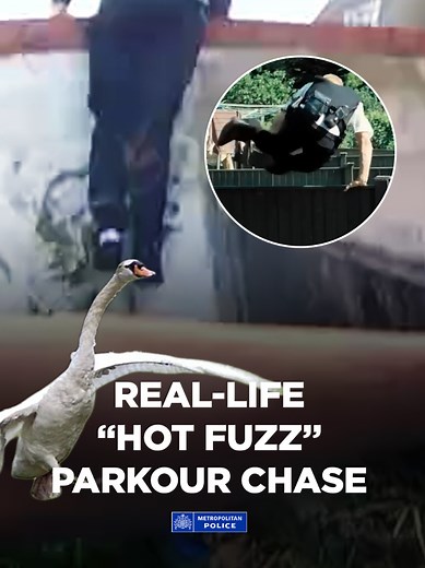 Parkour Pursuit: Dramatic Arrest Inspired by Hot Fuzz
