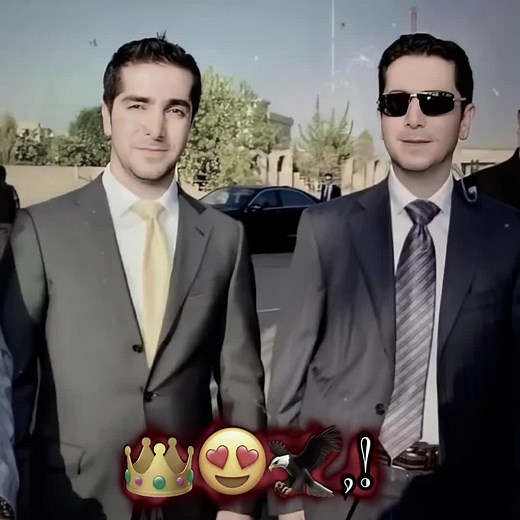 Shex Waysi and Shex Wayse Dance Compilation | Kurdish TikTok Videos