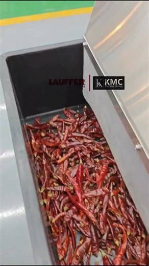 🔥Lauffer Vision Deep Learning Color Sorter | Advanced Chilli Sorting Machine | AI Precision Sorting