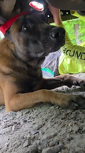 655K views · 23K reactions | Omg  | Tommy Gauthier | Facebook