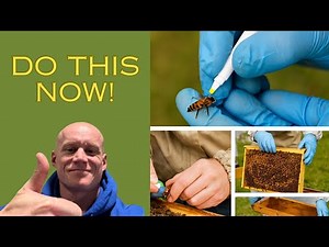 I Watched 30 Hive Inspections — These 3 Changed Everything #beekeeping #hiveinspection