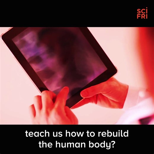 Hidden within science fiction is science fact. We explore the real science that pops up in new movies and TV shows. | Science Friday