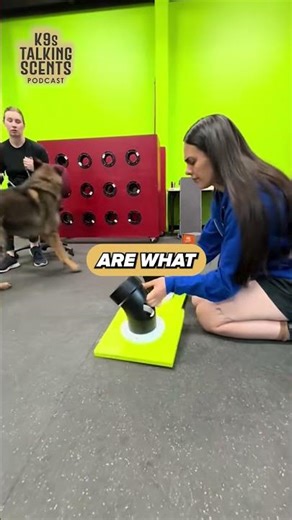 Dr. Hare's Data Driven Approach to Explosive Dog Detection Training