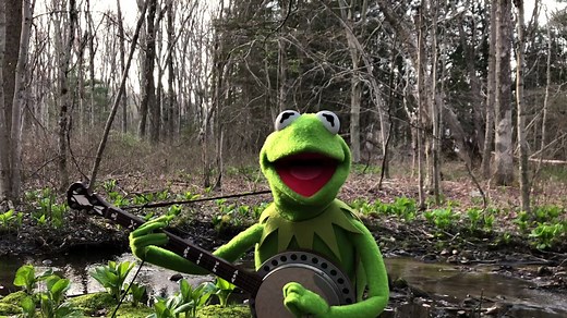 A Special Performance of Rainbow Connection from Kermit the Frog | The Muppets