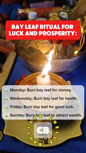 Daily Bay Leaf Rituals for Luck & Abundance - Starting a new weekly ritual to attract positive energy! 🔥 Check out this bay leaf guide for daily intentions. #spiritual #ritual #bayleaf #bayleafmagic #manifestation ​ #abundance #goodluck #wealth #health ​#spiritual #ritual #laurel #manifestyourdreams ​ #positivevibes #energyhealing #moneymagic | Chelle Bautista