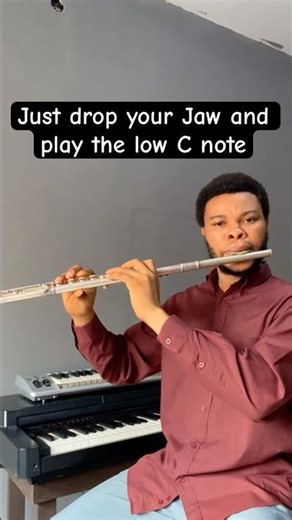 The low note is too full: #flute #shorts #flutetips #flutelove #nativeflutes #fluteduet #flutecover