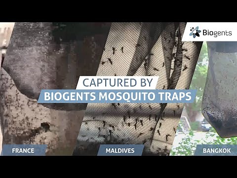High Performance Mosquito Trap Catching Mosquitoes all Around the World