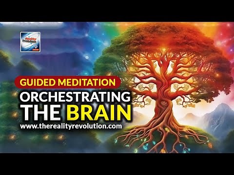 Guided Meditation - Orchestrating The Brain