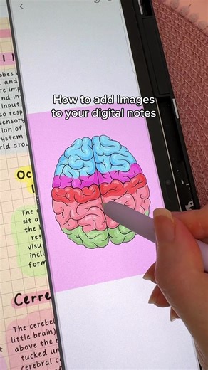 62K views · 680 reactions | 2 ways to add images to your digital notes ✍️ I use penly app on Samsung galaxy tab s9 and noteful app on iPad for digital note taking  this tip works on both devices! #digitalnotes #ipadnotes #notetaking #studynotes #digitalplanner #GalaxyTabS9 #samsungtablet #samsunggalaxy | HappyDownloads | Facebook