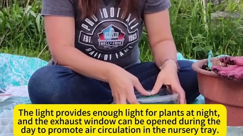 Richoose Elevated Seed Starter Trays with Grow Light,5 Pack 60 Cells Seed Starter kit with Humidity Dome and Base,Plant Seedling Trays for Gardening Germination Propagation-Black - Walmart.com