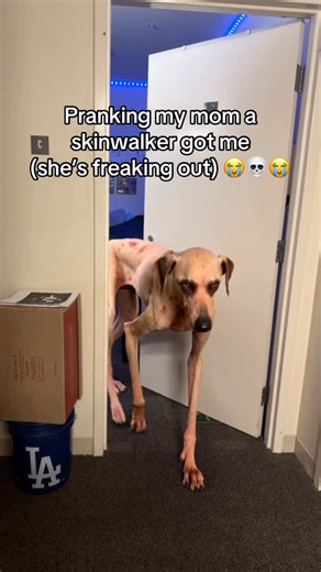 ryan on Instagram: "I WOULD BE FREAKING OUT TOO #prank #mom #aitrend #aivideos Did she actually call the cops??"