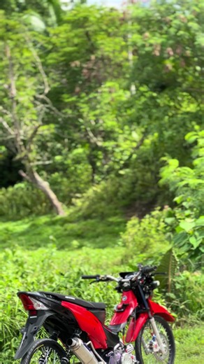 XRM 125 Setup Design — Thai XRM 110 Concept