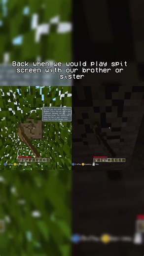 back when we would only play split screen with the family