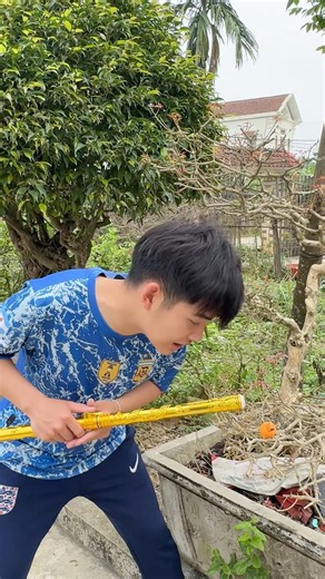 Truy tìm quái vật brairot #funny #shorts