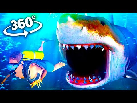 360 Video | Shark Encounter VR Experience