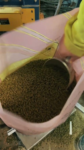 LMF Gentle Balance - Bagging Day at LMF Feeds