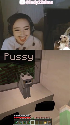 do we like pussycat? | MINECRAFT