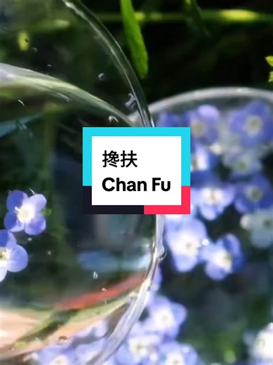 搀扶 Chan Fu | The karaoke Female & Male key version is on YouTube #搀扶 #ChanFu #MandarinSong #MandarinKaraoke #ChineseSong