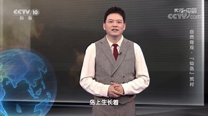 《地理·中国》 20220714 自然奇观·“仙岛”荒村