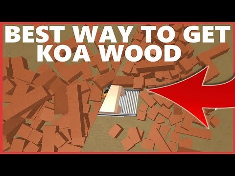Best Way (Method) To Get Koa Wood! Lumber Tycoon 2
