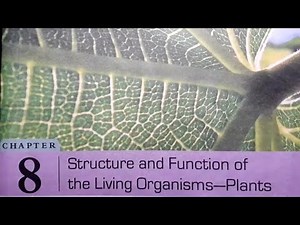 |Structure And Functions of Living Organisms Plants|DAV Class 6 Science Chapter-8 Full Explanation||