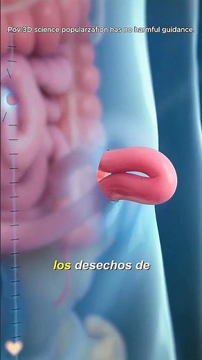 How A Colostomy Bag Works(3D Animation)#3dmedicalanimation #doctor #3danimation #foryou #fyp #us