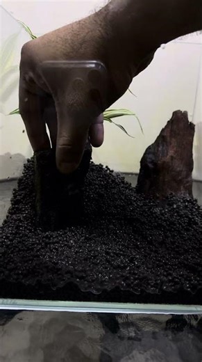 New Aquarium Setup 2026 | Complete Beginner’s Guide (Budget Friendly) #aquarium #aquariumsetup