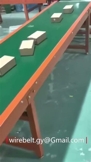 PVC Conveyor Belt for Material Transfer in Express Service Center