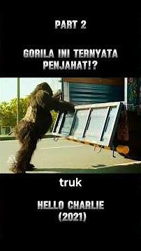 PART 1 ‼️Misi Gila Antar Gorilla! 😂 | Hello Charlie (2021) #alurceritafilm