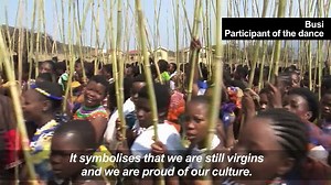 Young women dance to the Zulu king to celebrate virginity