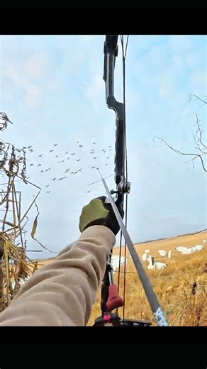 Fast flying ducks and perfect aim! #hunting #birds #trendingshorts