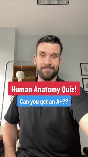 Test Your Knowledge with this Human Anatomy Quiz!