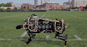 Video: Watch This Incredible Robotic Cheetah Run Around Untethered - BGR