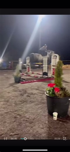 Amazing Pony Jumping Skills During Bill's Lesson