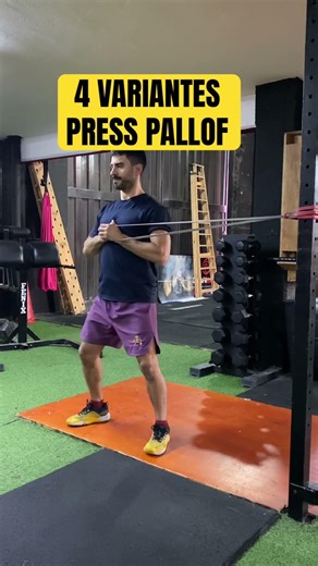 4 Variantes Press Pallof | Rotación y Side Step