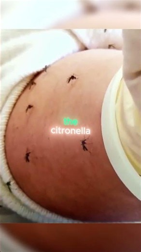 I Tested Every Mosquito Repellent So You Don’t Have To 🤯🦟 #experiment #survival