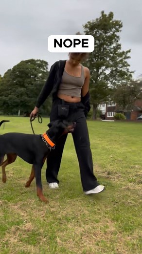 26K views · 577 reactions | Look at Moki and ask me again  | The Golden Kobe Family | Facebook