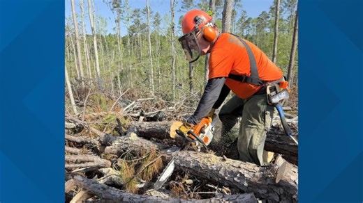 In wake of Hurricane Helene, Sumter National Forest makes significant progress towards recovery